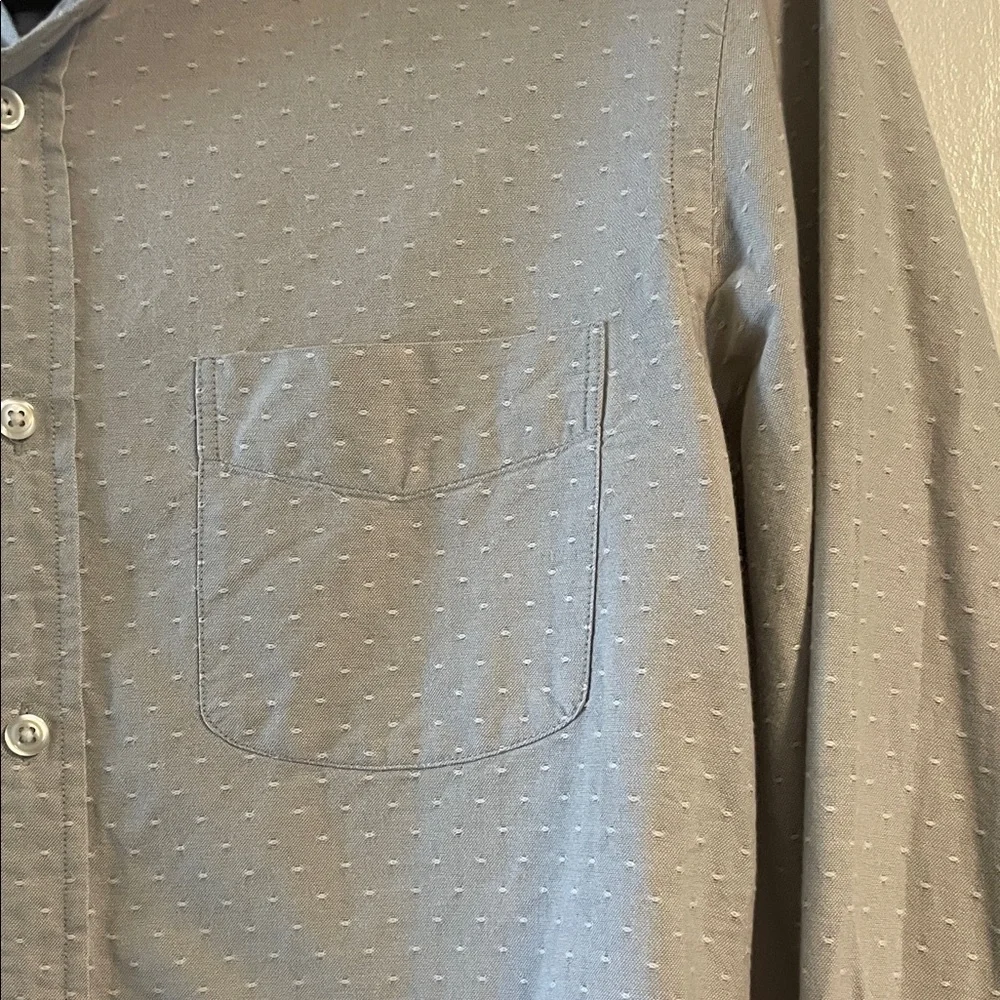 J. Crew Light Gray Button-Down Shirt